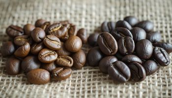 Café robusta consolida cotação média mensal acima do arábica pela primeira vez