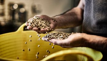 Cotação do café arábica oscila de olho no mercado externo