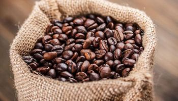 A China pode mesmo ser a solução para o café brasileiro após tarifaço?