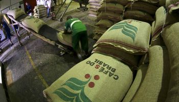 Cotação do café arábica soma alta de 12,32% em outubro