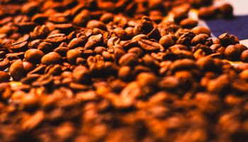 Brasil registra recorde na exportação de café