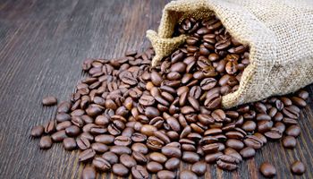 Com US$ 9,53 bi, exportação de café brasileiro tem receita recorde em 2022