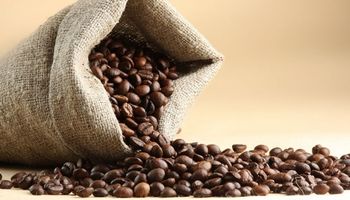 Exportação de café dispara 53,3% com novo recorde para o mês de abril