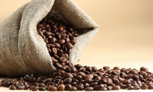 Exportação de café dispara 53,3% com novo recorde para o mês de abril