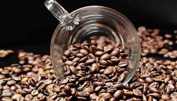 Exportações globais de café crescem 12,2% em julho