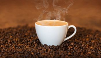 Mercado de café teve um mês de março de preços firmes