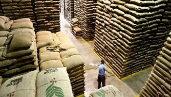 Produtores seguram a oferta de café arábica frente a oscilações de preço