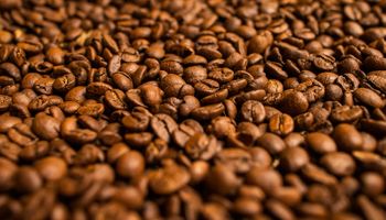 Exportação de café do Brasil cresce 15% em novembro