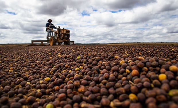 Receita cambial do mês foi de US$ 852,5 milhões, a maior desde 2011. (foto - Sistema CNA/Senar)