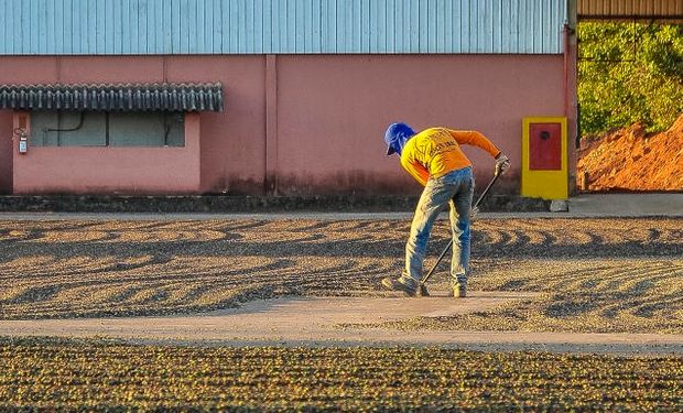 Mercado mundial de café deverá passar por mais um ano com déficit, desta vez de 7,3 milhões de sacas