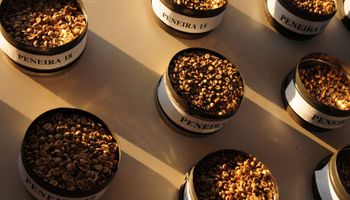 Cientistas concluem sequenciamento genético do café arábica