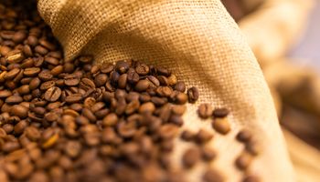 Café terá superávit de 10 milhões de sacas em 2026, mas mercado segue volátil