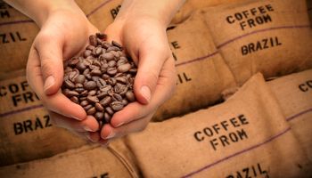 Exportação de café cai em volume, mas receita sobe 35,5% até maio