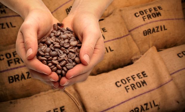 Exportação de café cai em volume, mas receita sobe 35,5% até maio