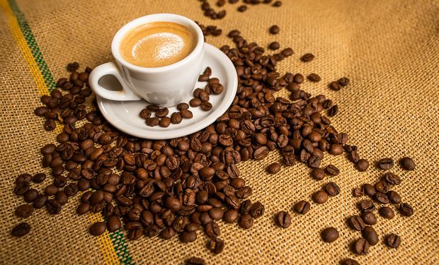 Preço do arábica voltou a operar acima dos R$ 1 mil, enquanto robusta já se aproxima dos R$ 700. (foto - CNA)