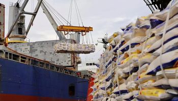 Agro fatura mais com exportações de janeiro a abril pela diversificação de produtos 