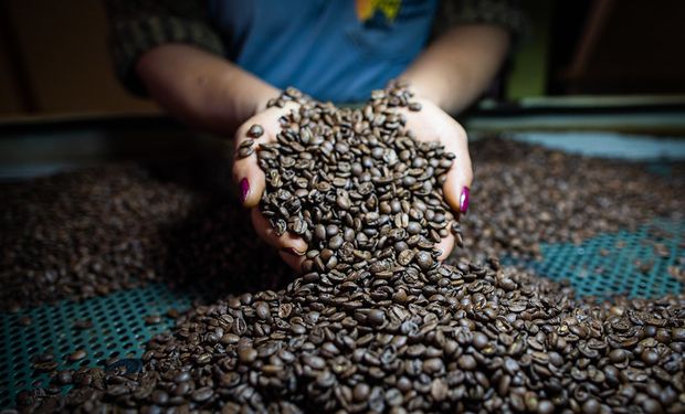 Governo amplia em 4% os recursos do Funcafé e destina R$ 7,18 bilhões para a safra 2025/2026