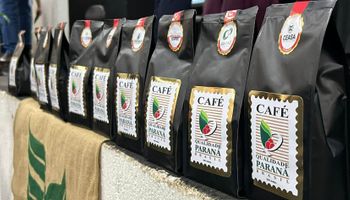 Qual é o melhor café do Paraná? Concurso vai revelar o produtor campeão