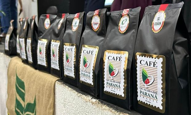 Qual é o melhor café do Paraná? Concurso vai revelar o produtor campeão