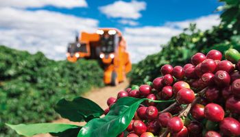 Café registra tombo nas exportações e na cotação da saca