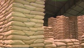 Polícia recupera carga de café avaliada em R$ 1,5 milhão em sítio no interior de SP