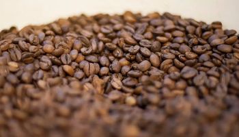 Anvisa proíbe venda de três marcas de “café fake” contaminado com toxina
