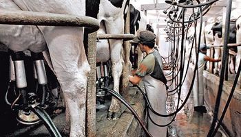 Se profundiza caída en la producción láctea