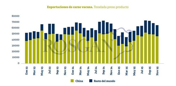 Caída exportaciones China