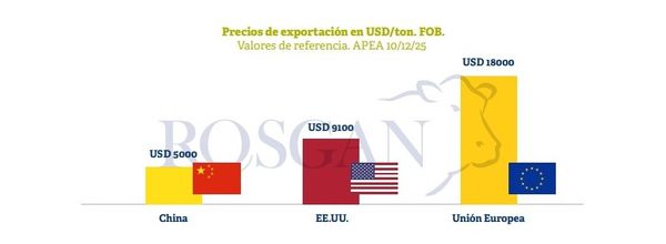 Caída exportaciones China