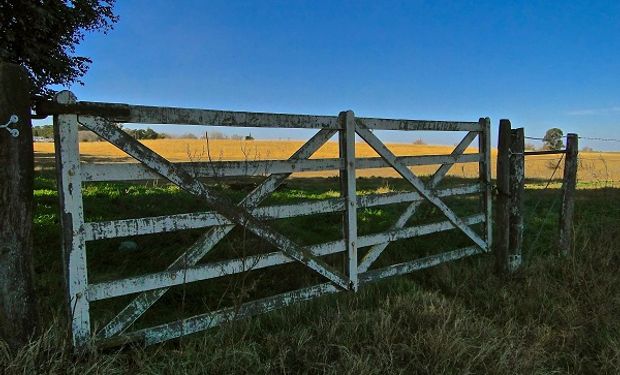 Hay más campos a la venta, pero el mercado inmobiliario rural se ve afectado por la "enorme incertidumbre económica"