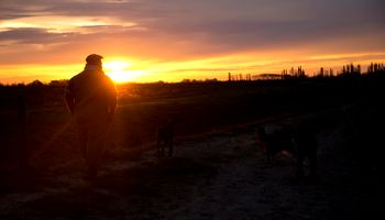 Las lluvias dan respiro y se espera tiempo estable y húmedo, pero con coberturas parciales