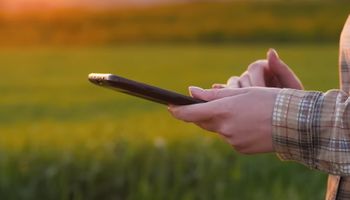 Ferramenta calcula quantidade necessária de sementes no pasto