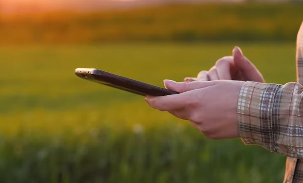 Ferramenta fornece uma sugestão da quantidade de sementes forrageiras necessária para a implantação da pastagem