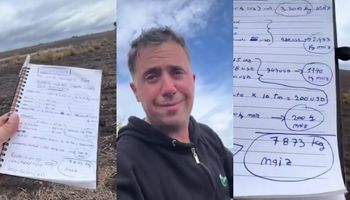 El cálculo que sorprende: ¿Con cuántos kilos de maíz cubrís los costos?