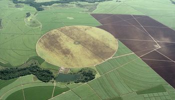Veja o calendário da Conab com as divulgações das safras em 2026