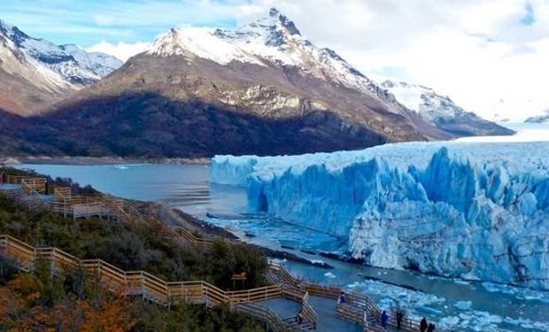 Investigación publicada en la revista Nature.