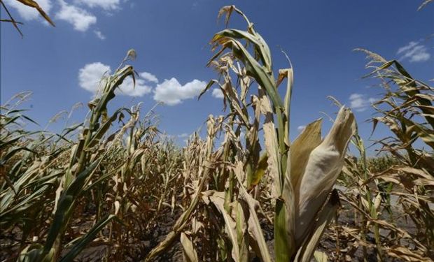 Las temperaturas promedio ya han subido cerca de 0,8 grado desde la Revolución Industrial.