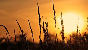 Bolha de calor persiste no Centro-Oeste e Sudeste e vai esquentar fim de semana