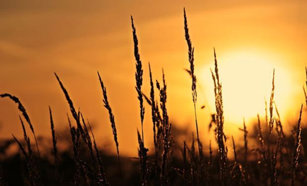 Bolha de calor persiste no Centro-Oeste e Sudeste e vai esquentar fim de semana