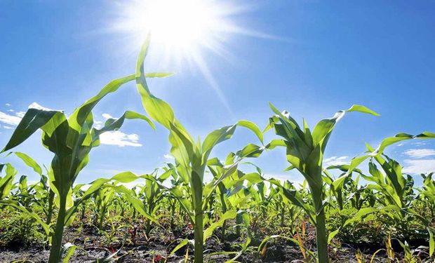 Calor sufocante se instala no Brasil com termômetros acima de 40º graus