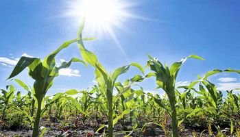 Nova onda de calor se estabelece no Brasil com temperatura de 45°C 