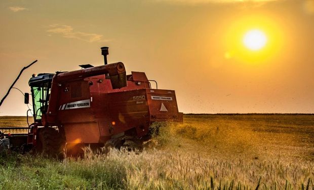 Foto: Fernando Dias/Seapi