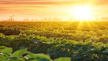 Calor intenso, chuvas? Confira a previsão do Inmet para cada região do Brasil em novembro