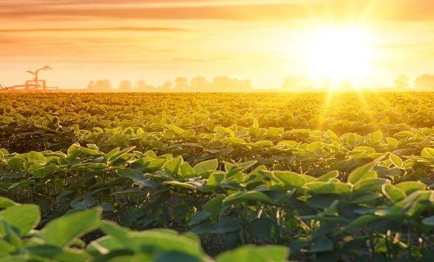 Calor intenso, chuvas? Confira a previsão do Inmet para cada região do Brasil em novembro