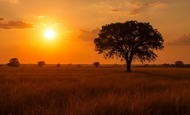 Temperaturas voltam a subir no Centro-Oeste e Sudeste; Sul entra em alerta para temporais