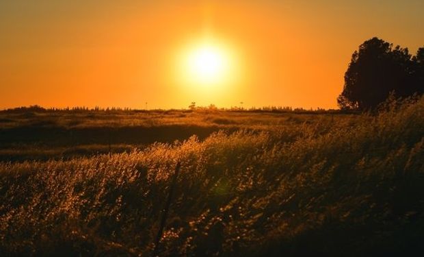 La primavera trajo una ola de calor: pronostican temperaturas de hasta 45°C para ocho provincias