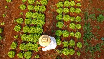 Câmara aprova uso do FGO para garantir crédito do Pronaf