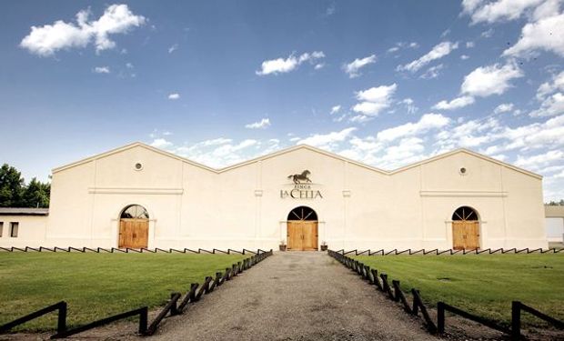 Cambió un caballo por vides y así pudo fundar una de las bodegas más importantes de Mendoza: ya exporta a 40 países