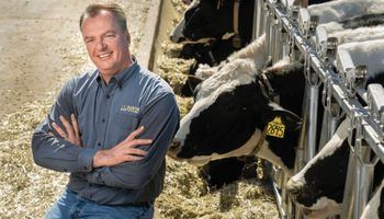Cambio climático: el especialista de UC Davis que explica por qué las vacas no son autos
