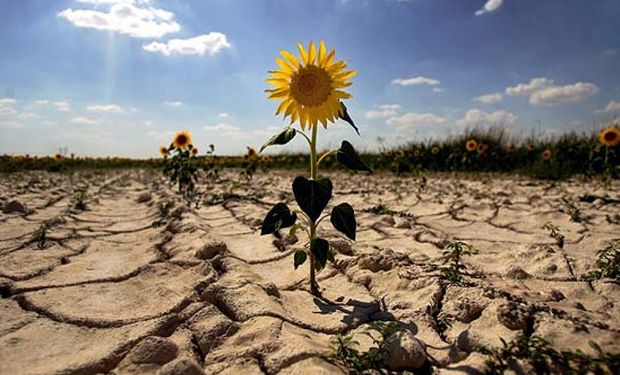 Para 2030 podrían reducirse en un 18% los gases de efecto invernadero .